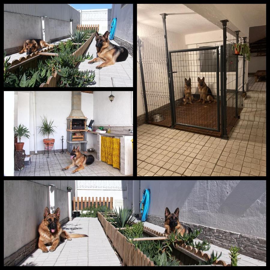Toca Do Lobo Apartment Charneca  Exterior photo
